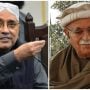 Mahmood Achakzai demands ECP to postpone presidential election 