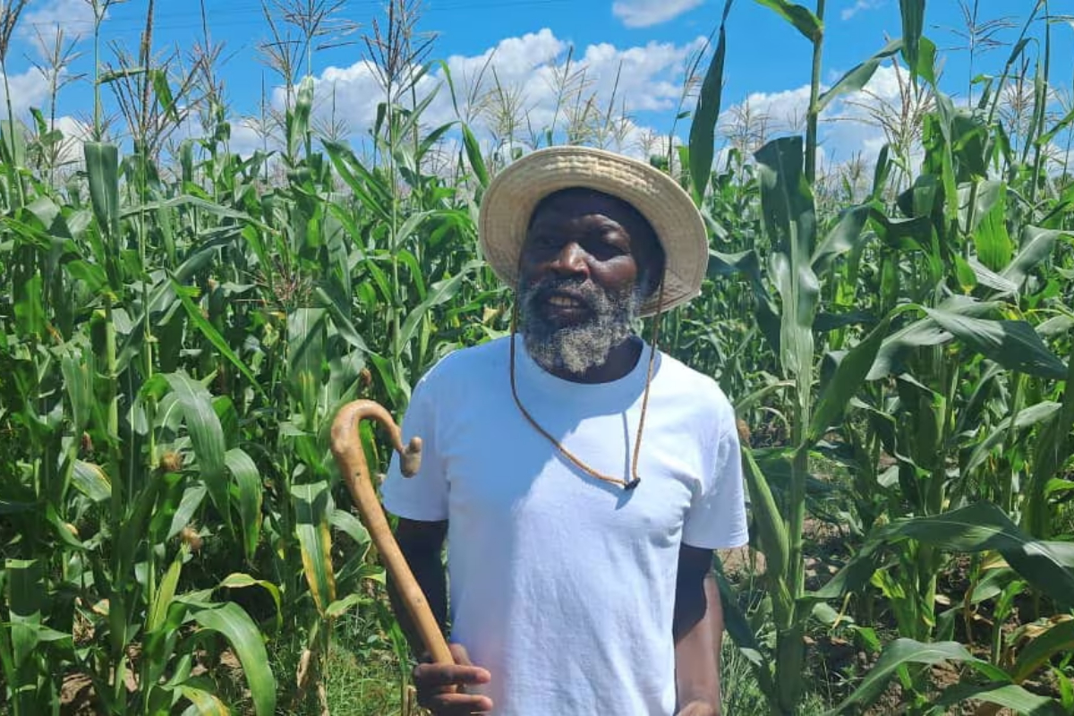 Legal Action against Zimbabwe sect leaders exploiting 251 children as cheap labor