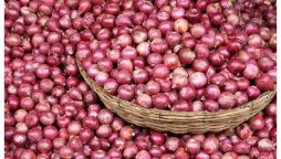 Vegetables Prices Drop in Ramadan: Tomato & Onion Prices Decreased