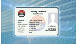 Sindh Driving License Fees & Online Application Process
