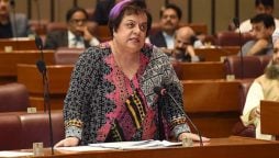 Shireen Mazari ECL removal application