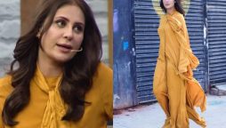 Nausheen Shah accuses renowned film director of Money Fraud