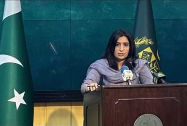 Pakistan not invaded Afghanistan but acted against terrorists: FO