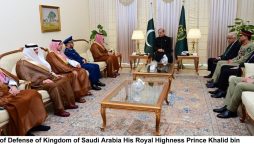 PM, Saudi Defence Mnister discuss security, regional issues