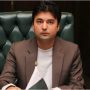 Appellate Tribunal declares Murad Saeed eligible for Senate election