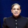 PM Shehbaz reconstitutes Council of Common Interests  