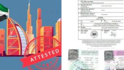 Everything You Need to Know Document Attestation Process in UAE Online