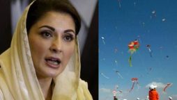 CM Punjab kite flying ban