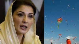 Punjab CM orders kite flying ban enforcement