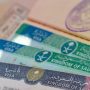 Saudi Arabia launches student visa program