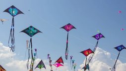 Kite ban violators to be punished strictly