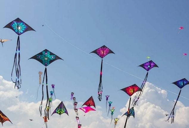 Kite ban violators to be punished strictly