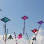 Kite ban violators to be punished strictly