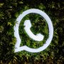 WhatsApp to allow users to send all media in HD quality