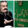 ECP issues notice to Gandapur on disqualification petition