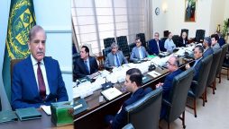 Complete security will be ensured for Reqo Dik project, says Shehbaz
