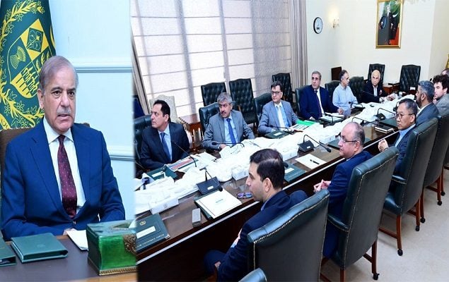 Complete security will be ensured for Reqo Dik project, says Shehbaz