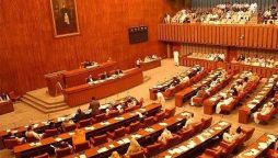 Senate elections: Deadline for filing nomination papers ends on Saturday