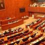 Senate elections: Deadline for filing nomination papers ends on Saturday