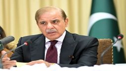 PM Shehbaz forms various Cabinet bodies to revamp economy