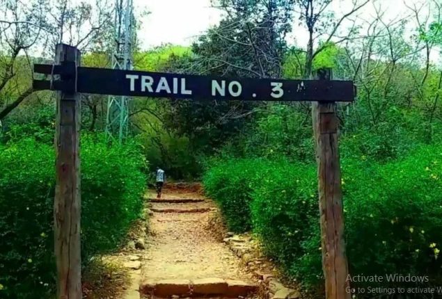 CDA closes all hiking trails due to Parade Day
