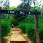 CDA closes all hiking trails due to Parade Day