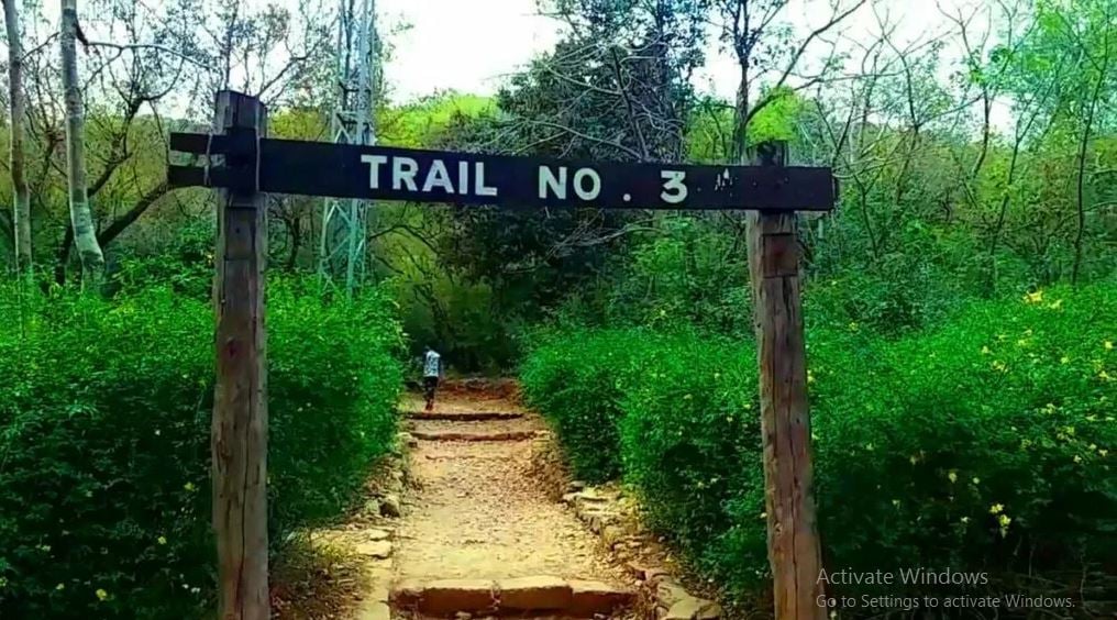 CDA closes all hiking trails due to Parade Day