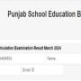 PSEB 10th Results 2024: Check here for results