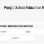 PSEB 10th Results 2024: Check here for results