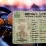 Punjab Traffic Police issues record driving licenses in month