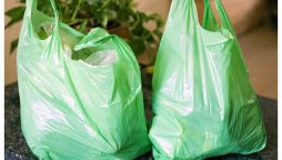 Punjab Sets Official Date for Plastic Bags Ban!