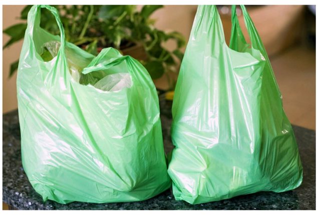 Punjab Sets Official Date for Plastic Bags Ban!