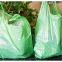 Punjab Sets Official Date for Plastic Bags Ban!