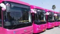 Free Travel for Women on Karachi's Pink Bus Service
