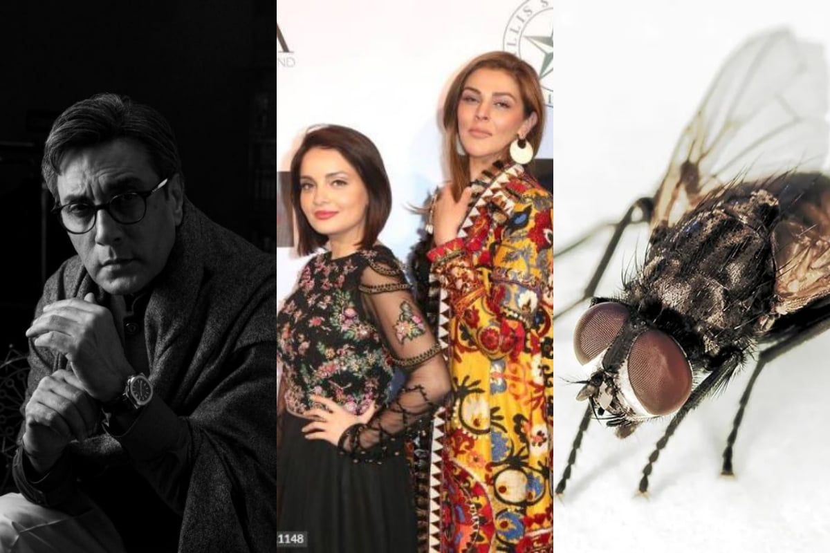 Adnan Siddiqui claims women are like houseflies