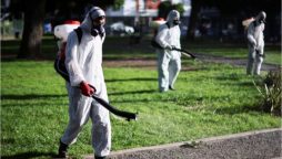 Dengue surge in Argentina which lead to repellent shortage