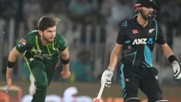 Pakistan vs New Zealand T20I series to go live from today