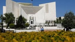 Supreme Court constitutional bench extended for 6 months