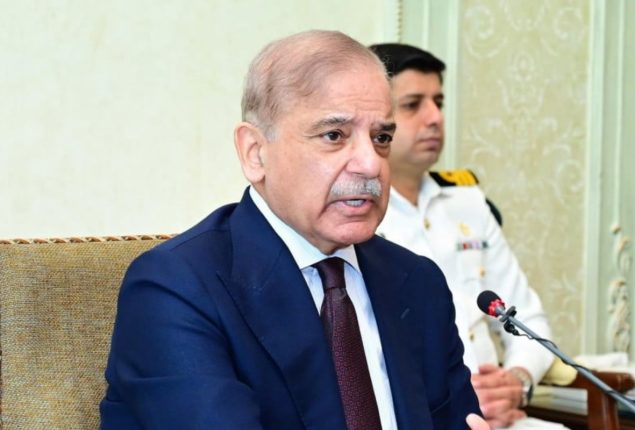 PM Shehbaz reconstitutes ECC again