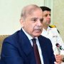 PM Shehbaz reconstitutes ECC again
