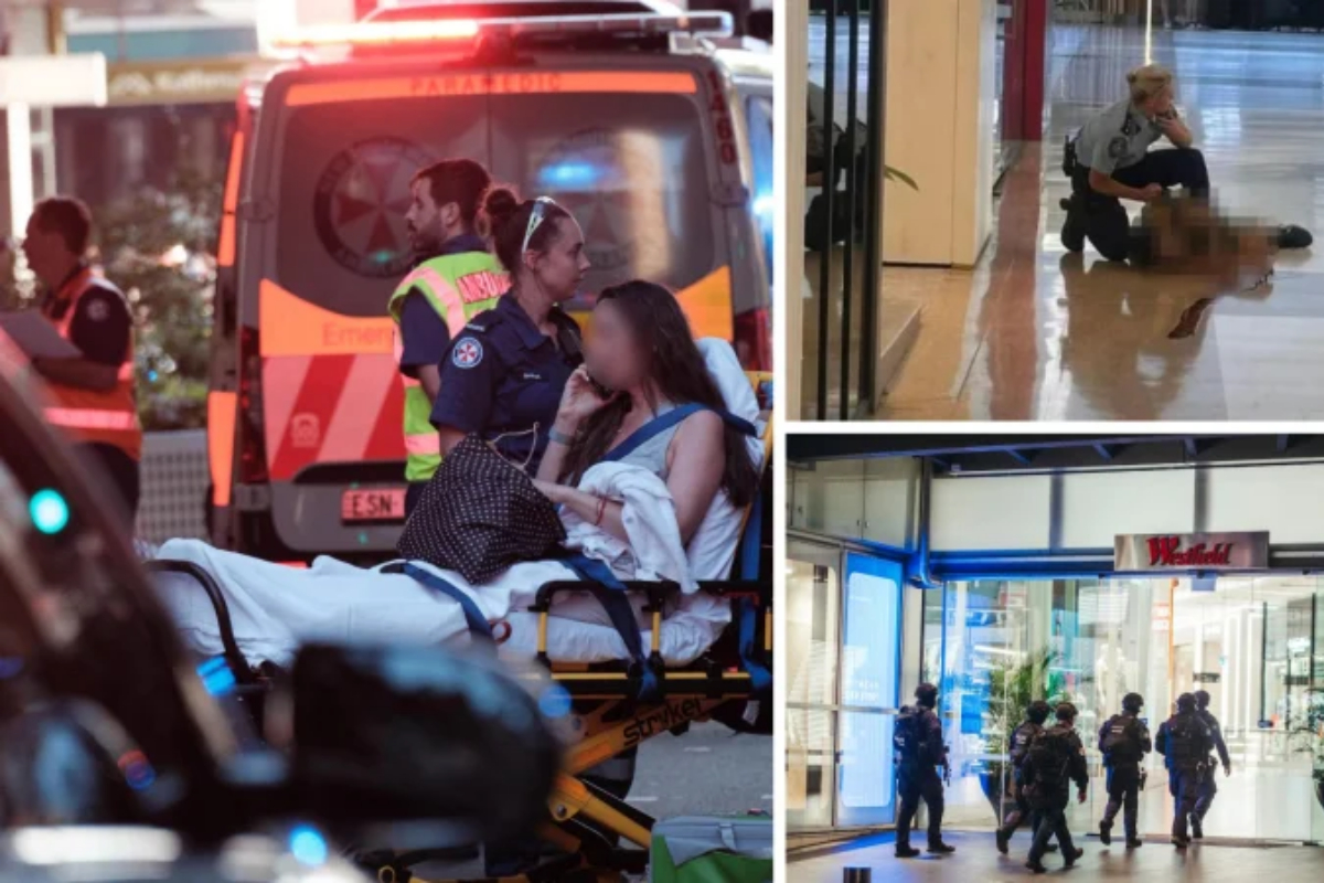 Police identify Sydney stabbing suspect Joel Cauchi after Bondi Mall attack