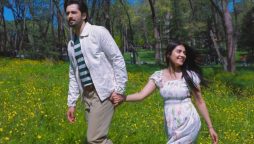 Ayeza Khan and Danish Taimoor's family adventure at Tulip Gardens