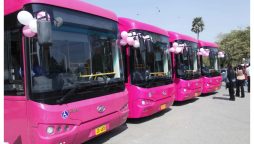 Govt Adds New Routes to Karachi's Pink Bus Service!