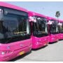 Govt Adds New Routes to Karachi's Pink Bus Service!