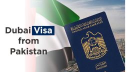 All UAE Visa Options for Pakistan: A Brief Guide!