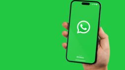 WhatsApp green features
