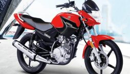 Yamaha YBR 125