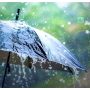 PDMA Predicts Widespread Rain in Punjab Starting April 23rd