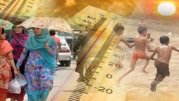 PDMA heatwaves warn