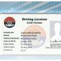 Get Your Sindh Driving & Motorcycle License with Ease: Check Eligibility!